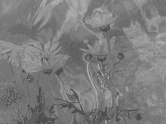 그저 깊은 바닷속으로 가라앉을 뿐이야