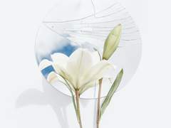 [조슈바네] 그 능력과 그 능력