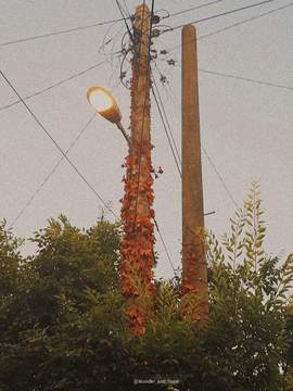 모두를 구할 수 있을까?