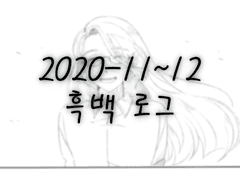 2020-11~12 흑백 로그