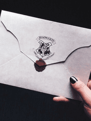 BACK UP - OFFICIAL COUPLES