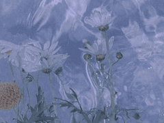 선배가 행복했으면 좋겠어