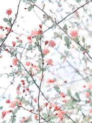 사랑하는 나의 세계