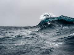 정작 본인은 모르는