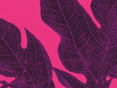 1. 나 게임중독 아닌데?