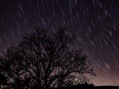 화서지몽 華胥之夢