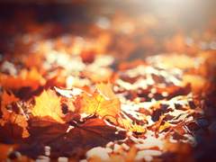 선관로그+과거로그