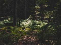 [그악법] 그 날은 햇빛이 들었다. (1)