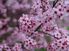 all for love 梦尽: 一