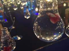 우성알파 김태형 X 우성오메가 박지민 워킹맘&대디썰 1