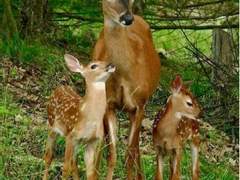 [친/후세대] 포터와 포터와 포터 3