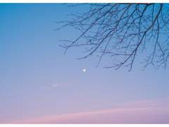 [망기무선] 사시장춘(四時長春) 3