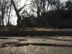 전지적 개미시점