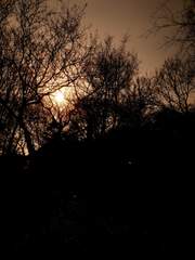 짧지만 새로운 시각