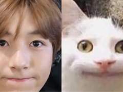 그닥 재밌는 Chat (Talk ver.)