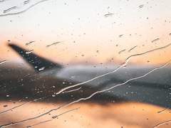 북극여우 관찰일기 10