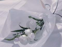 Bella Celine {벨라 셀린}_30_xx