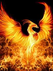 [이동혁/이민형] 도사 양성 사관 학교