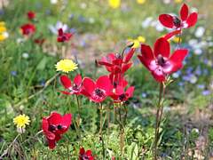 01. 사랑의 형태