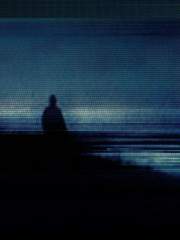 사랑은 짙은 향기만을 남기고