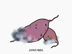 고구마