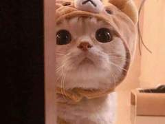 127막내 김여주 모먼트 EP.5