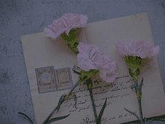 TO. 공룡 아저씨