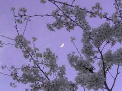 [첫사랑을 찾습니다] If. 김태형이 남주였다면 (2)