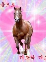 말도안돼 내가 대학에 다닌다!