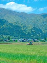 여름이 오면, 우리는