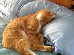 127막내 김여주 모먼트 EP.6