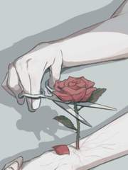 썰 백업/모음집