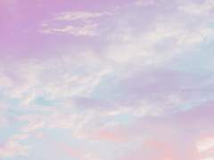 고토부키 후유 / 寿 双夢