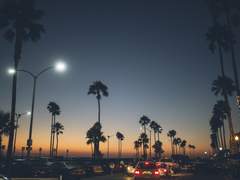 문파이 타입 (2)