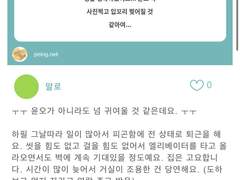 <너랑 하는 연애> 페잉 썰 모음