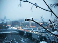 안녕하세요 살아있습니까