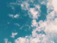 [고죠게토TS/토우게토TS] Ya can't be mad at me