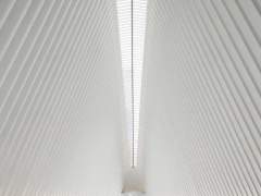 아니요, 아닙니다. 제 정의는 正義가 아닌 定義입니다.