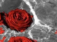 구태여 말하지 않은 이야기들은