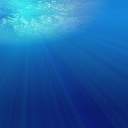 이요의 작은 수족관