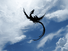 드래곤라이딩-비룡