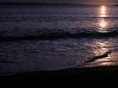 여름이 끝나는 순간에.