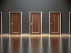 칡과 등나무가 얽힌 양상