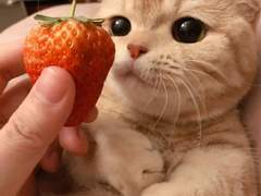 127막내 김여주 모먼트 Special