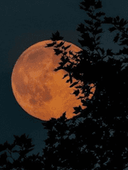 얼레벌레 현생살던 우리가 이공간에 초대되었습니다?!