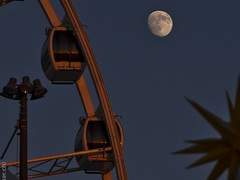 한여름 밤의 꿈