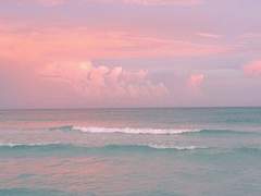 [재숕] 사랑하고 있다고 해줘