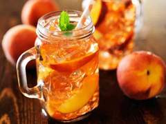 북극여우 관찰일기 12