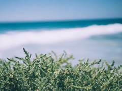 You don't have to take risks.