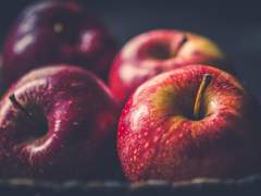 사랑을 논하는 악마에 대하여